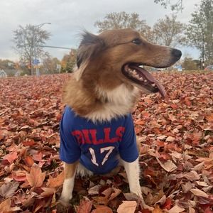 Meet your Posher, Marcia